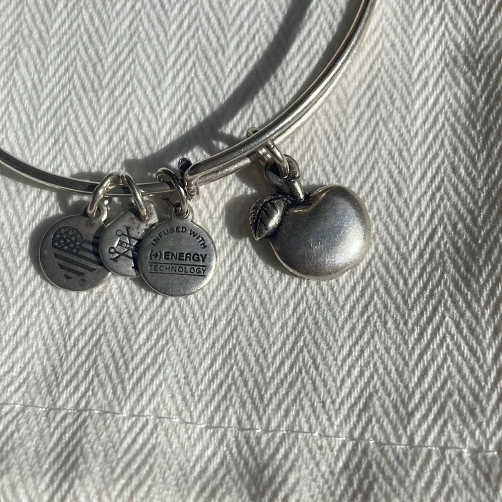 Alex and Ani Apple Bangle Bracelet Rare Charm silver - Picture 2 of 2